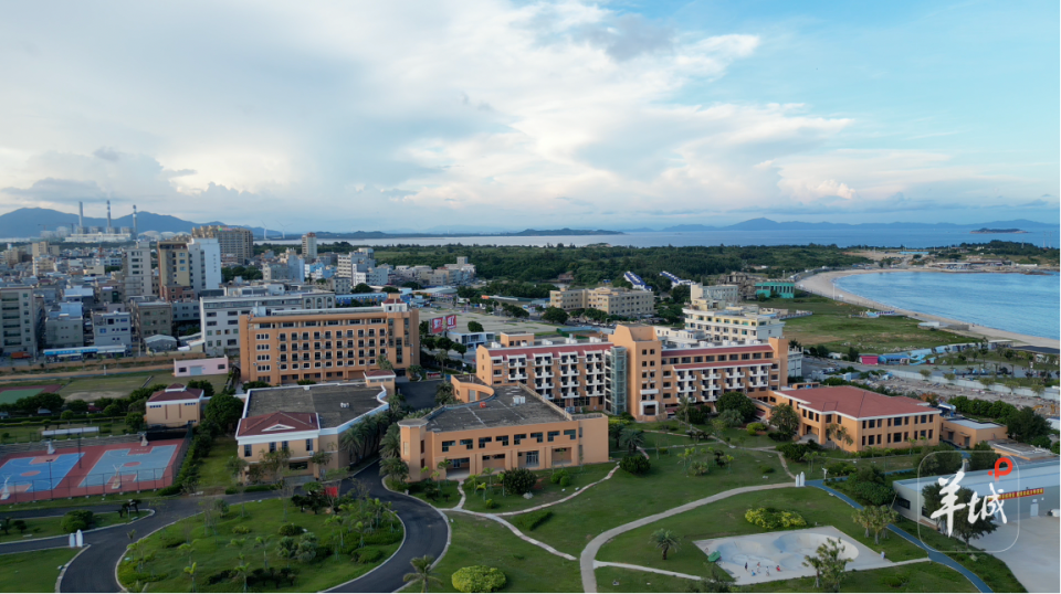 与足球运动, 会发出倡议, 训练机制