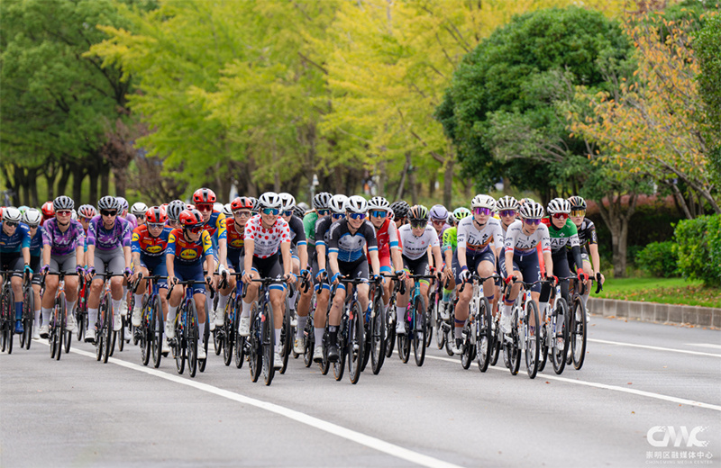 世巡赛多日 世巡赛多日